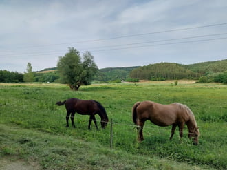 Tarna mentén, Nógrádban