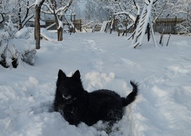 Na mi szólsz, milyen sok havat összetereltem?! :) 