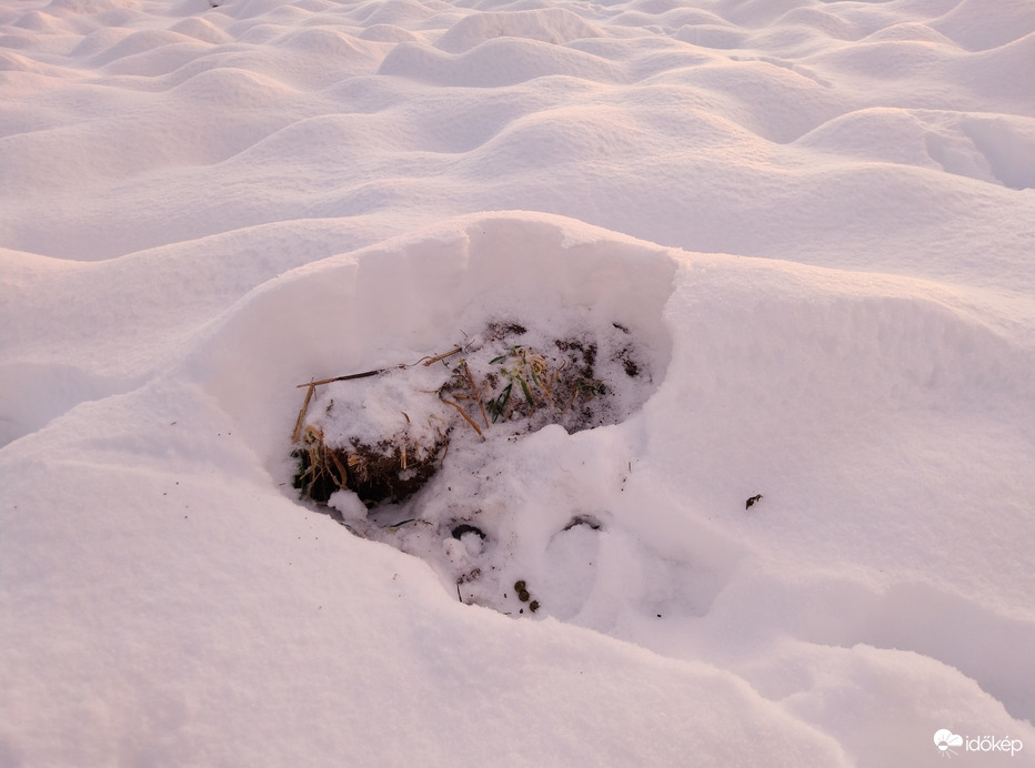 A nyúl vacka a hóban