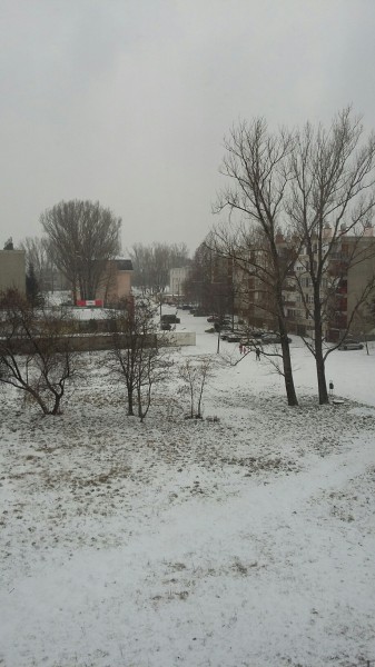 Székesfehérvár