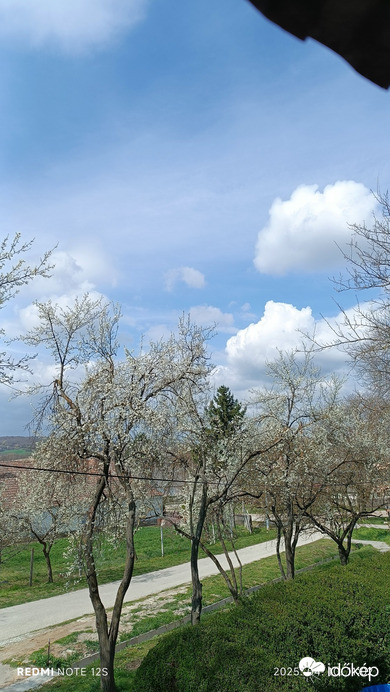 Súr
