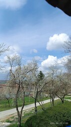 Súr
