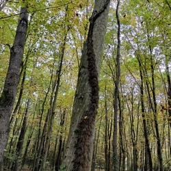 Természet érdekességei 