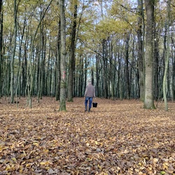 Andrea fotói a gombász 