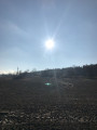 Gödöllő
