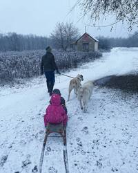 Boldog Szülinapot Időkép! Üdv a Munkatársaknak!