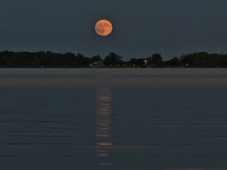 Holdkelte a Tisza-tónál
