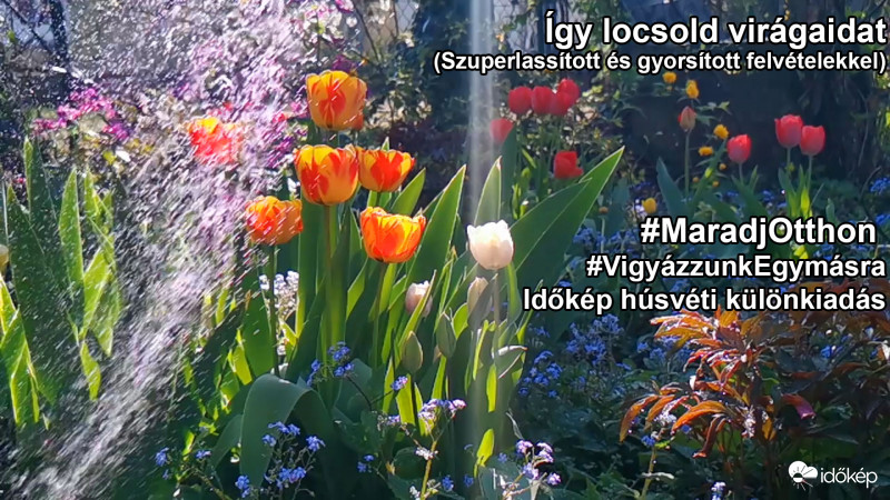 Húsvéti kihívás -kiajánló 22
