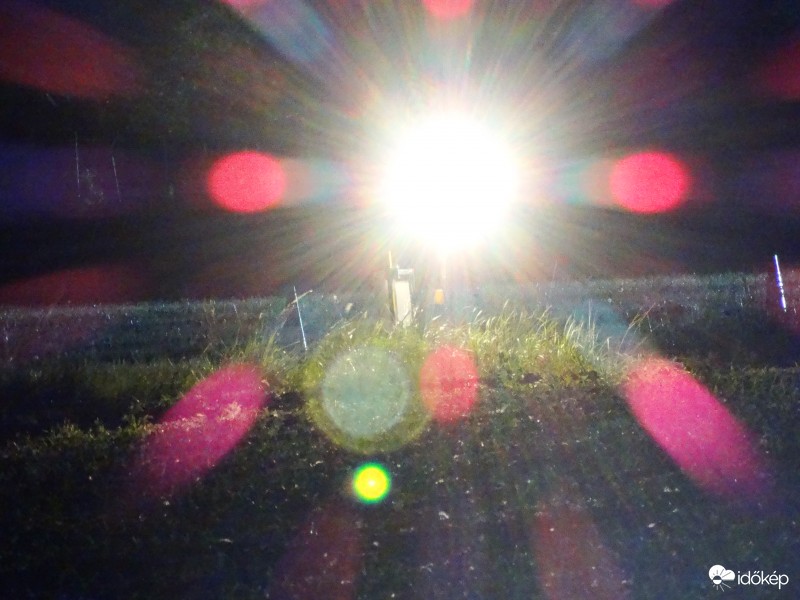 Kukorica-figyelő 2376