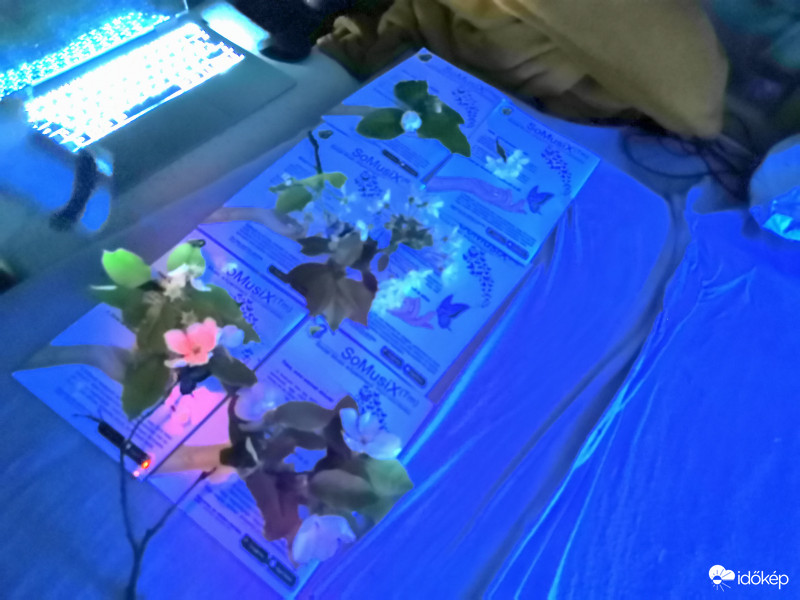 Láthatatlan színek - lab1