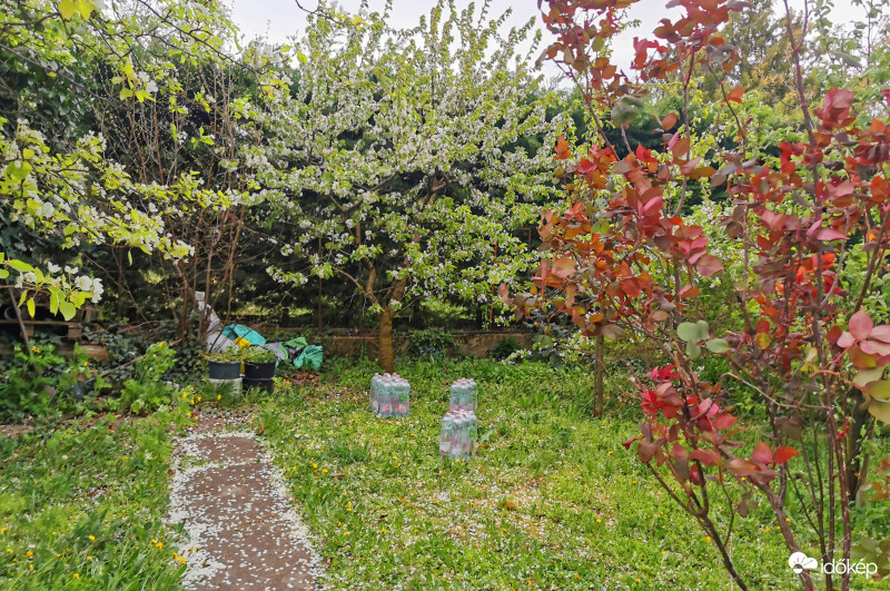 Szeles napok szépségei - Kiajánló 3