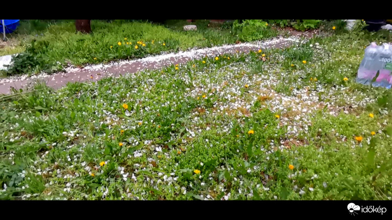 Szeles napok szépségei - Kiajánló 4