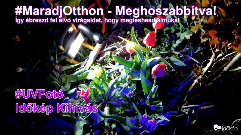 UV Fotó Kihívás- Lead 2