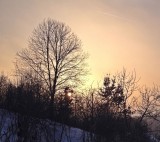 nightdriver85 fotója