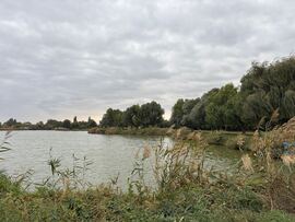 Székesfehérvár