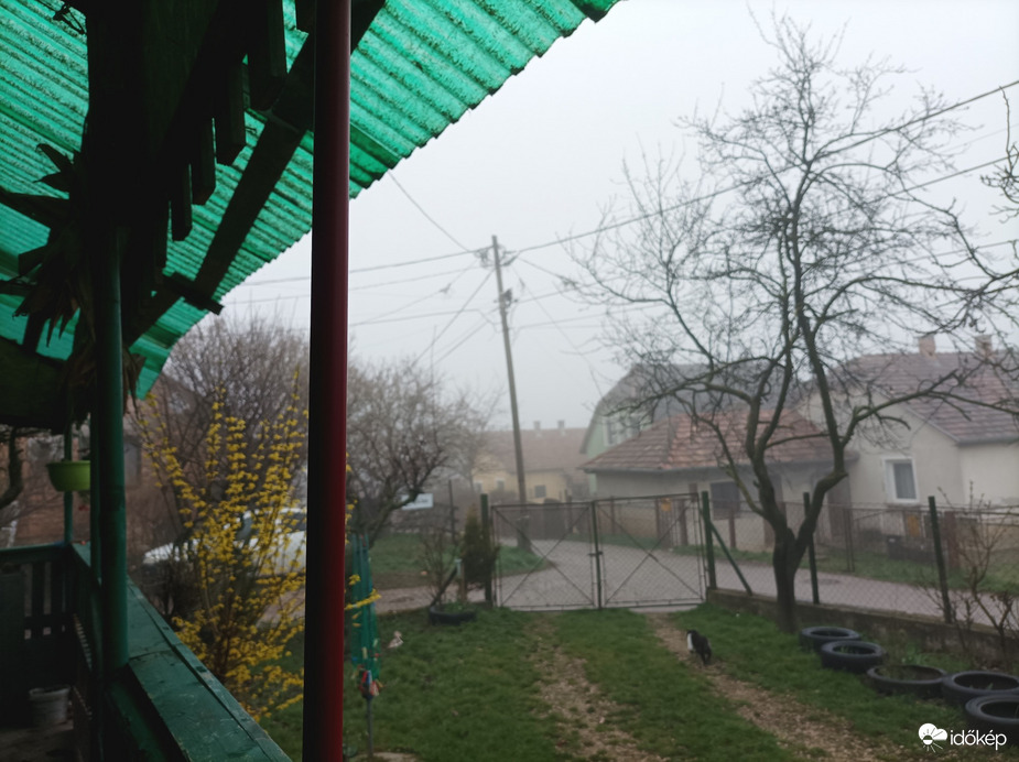 Mány