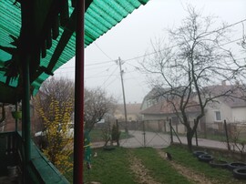 Mány