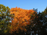 Az ősz színei 