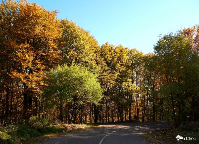 Séta az őszi erdőben