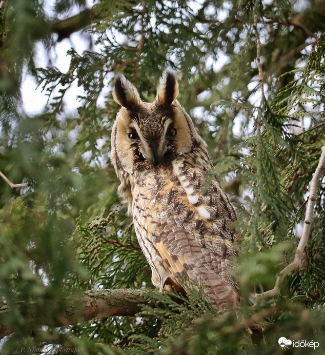 Kicsit mérges volt :)