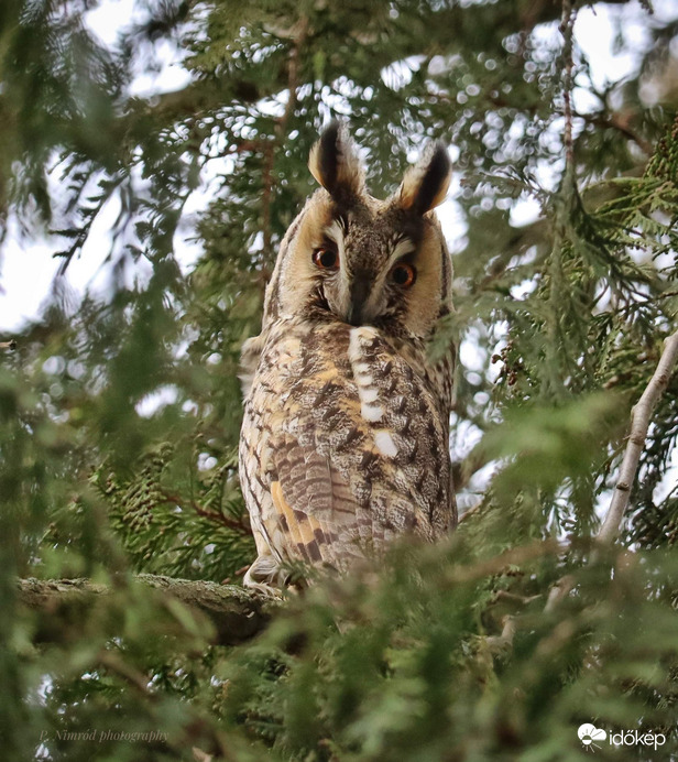 Zöldes háttérben :)