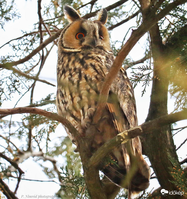 ,,Jé, az ott mi lehet?" ☺️