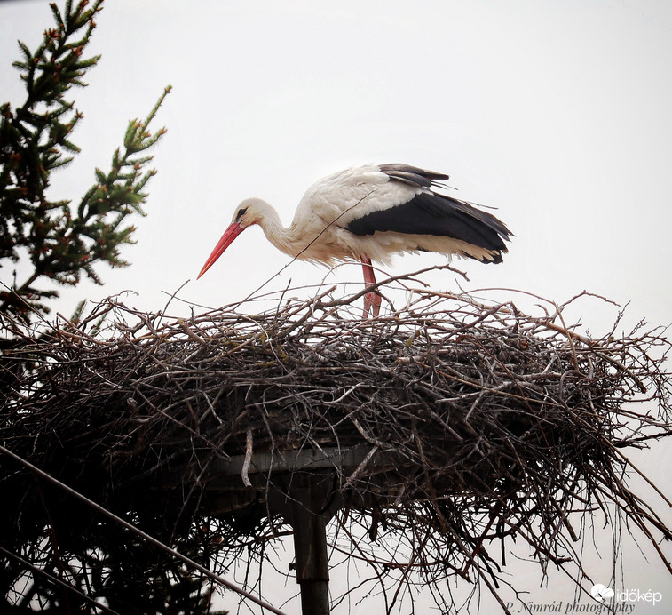 Végre megérkezett☺️☺️