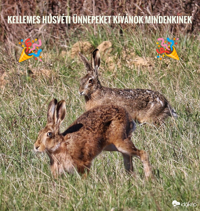 Kellemes húsvéti ünnepeket kívánok Mindenkinek ☺️