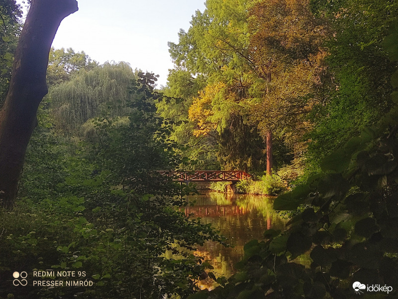 Tavas erdős tájkép egy kis híddal :)