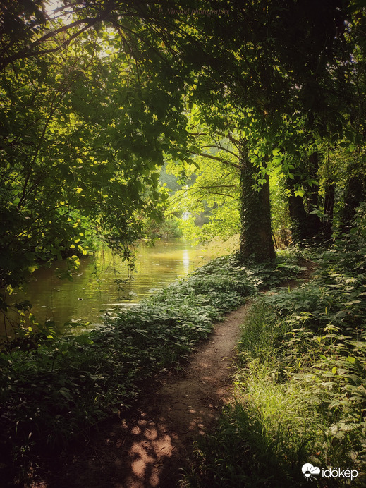 Föld napja alkalmából ezt a fotómat küldöm Nektek sok szeretettel ☺️