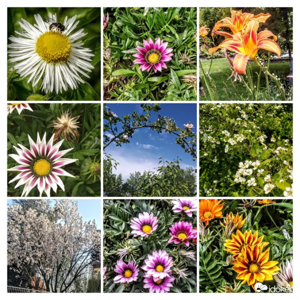 Itt a tavasz, vár a nyár... :)