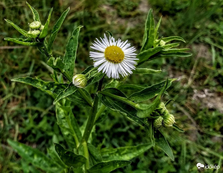 :)