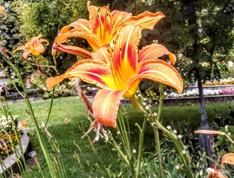 Boldog Nőnapot mindenkinek! :)