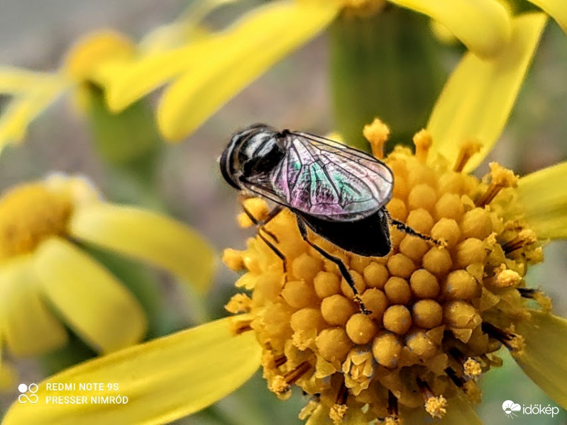 ,,Minden oldalról örökíts meg" :D