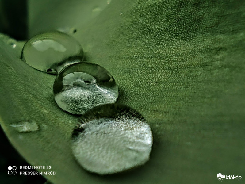 Csak szépen sorjában :)