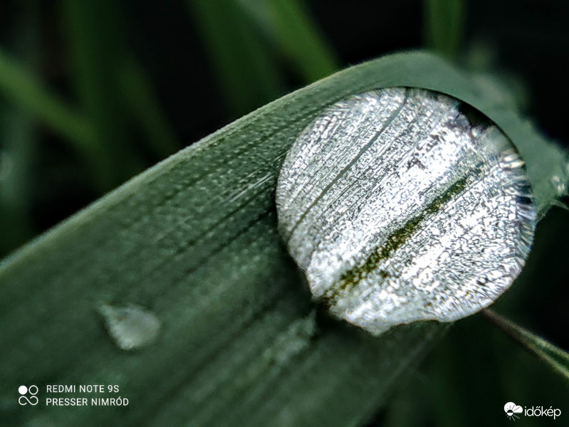 Eső utáni világ :)