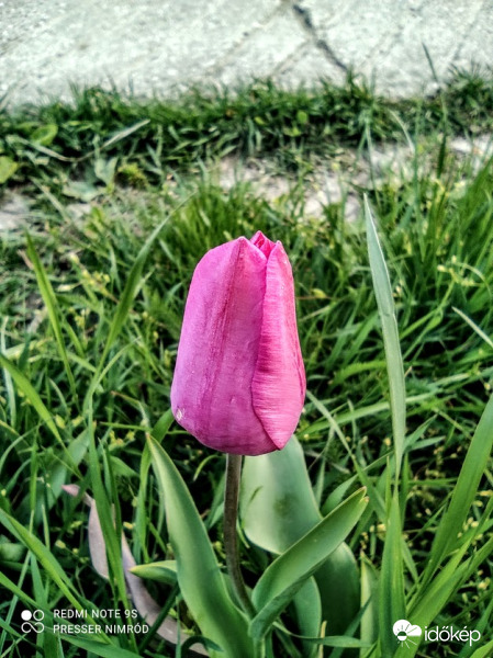 Tegnap még zárkózottabb volt :)