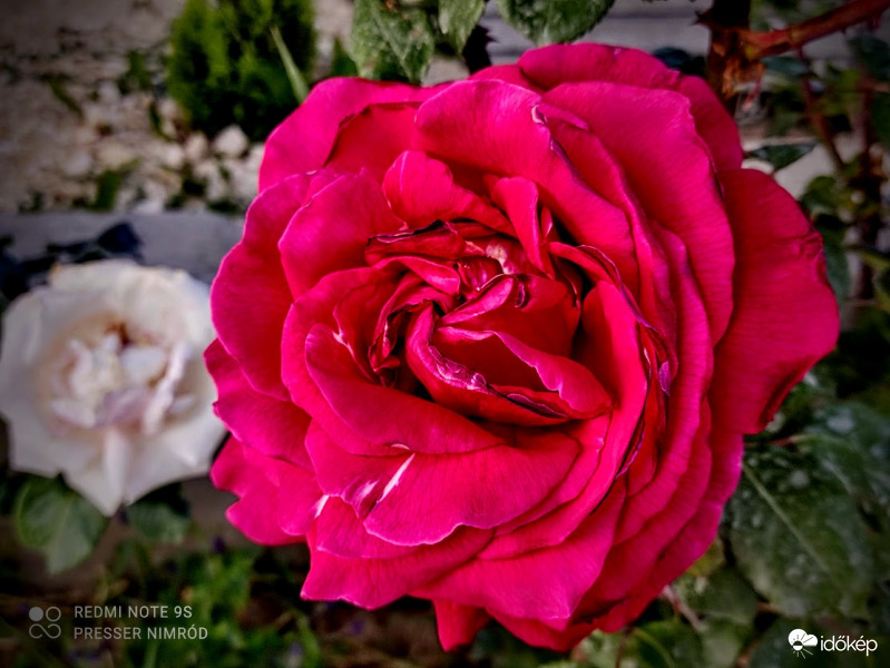 Pirosban is pompázó :)