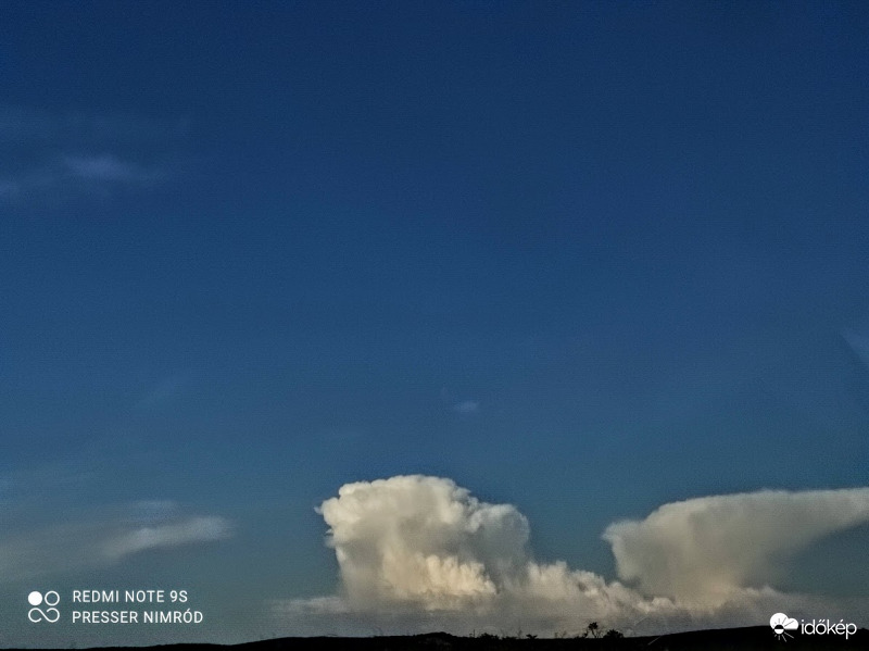 Egy oroszlánfej és egy üllő