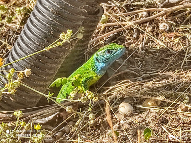 Ma egy kicsit feszült volt :)