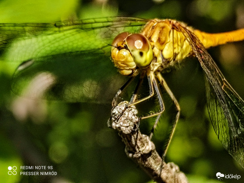 Közelebbről :)
