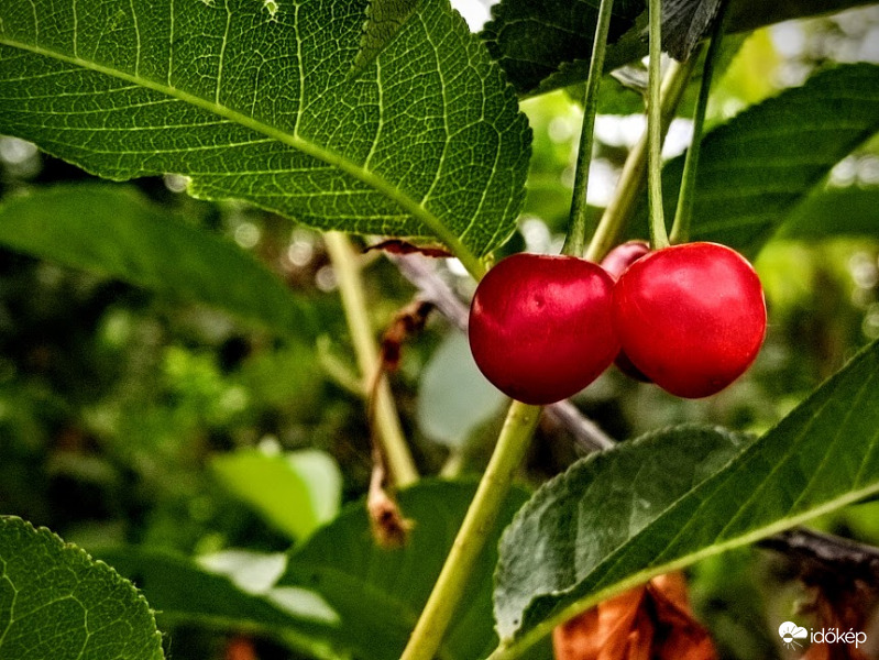 :)