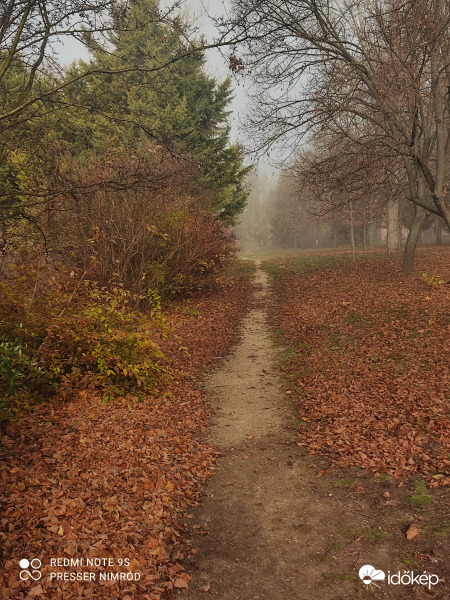 Út az őszbe :)