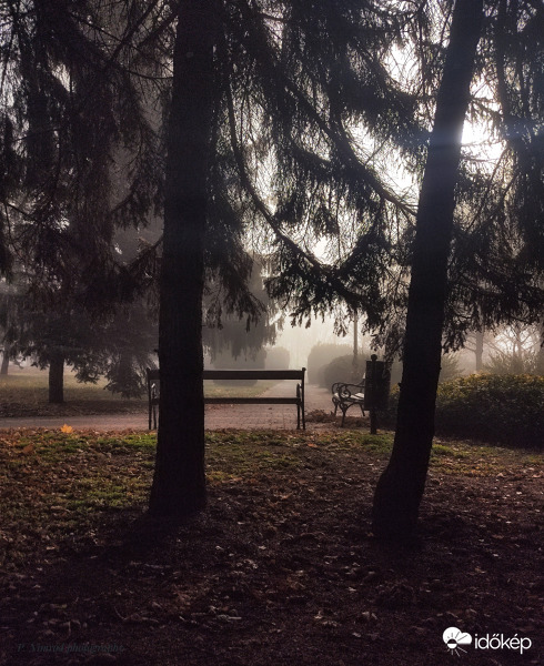 Ködbe veszett reggel :)