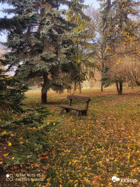 Csodálatos őszi színekben :)