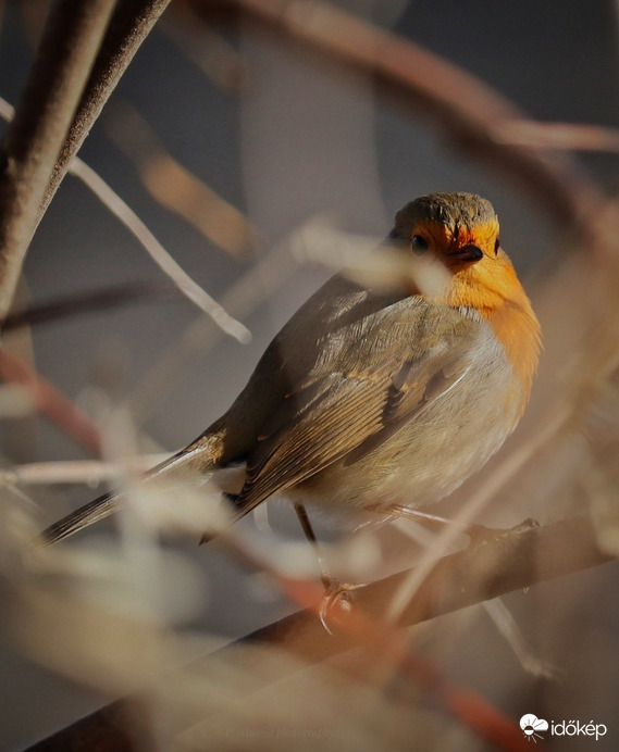 Ellenfényben ☺️
