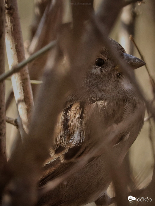 Elbújtam, nem találsz meg :D :D
