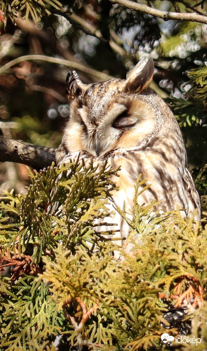 Ma még nagyobb szerencsém volt, mint tegnap ☺️