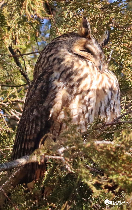 Ekkor még nem látott :)