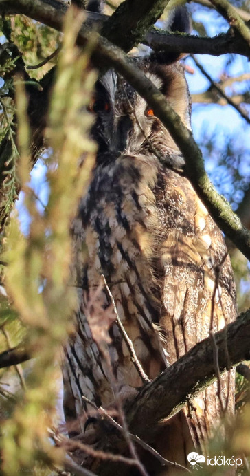 Váratlan találkozás 2.